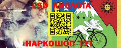 стафф Дубна