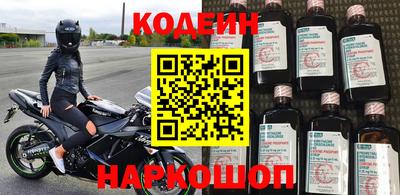 стафф Дубна