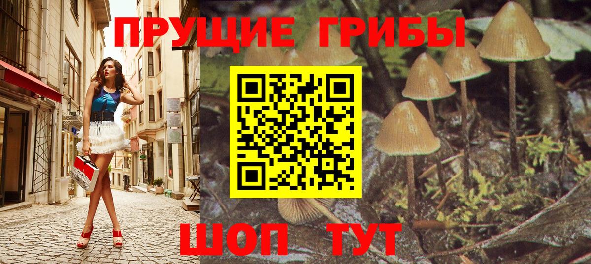 Галлюциногенные грибы GOLDEN TEACHER  Вход с VPN  Среднеуральск 