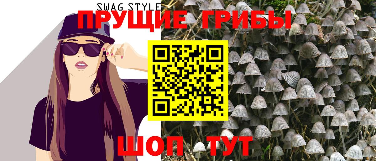 Псилоцибиновые грибы GOLDEN TEACHER Среднеуральск